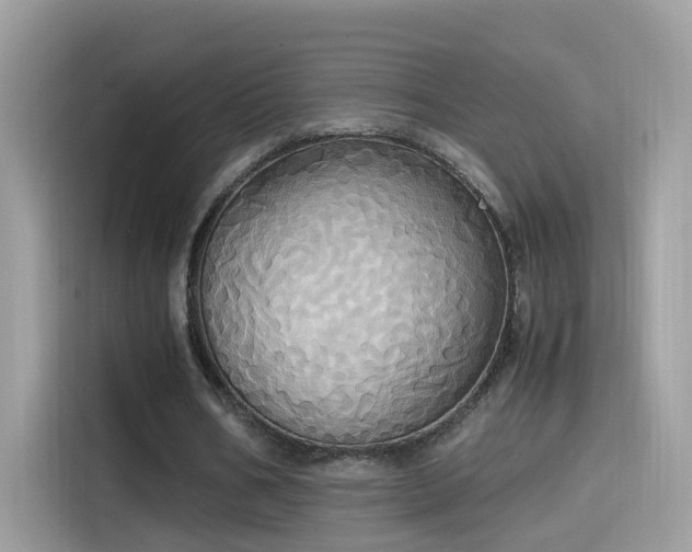 X0000115560578200911131629