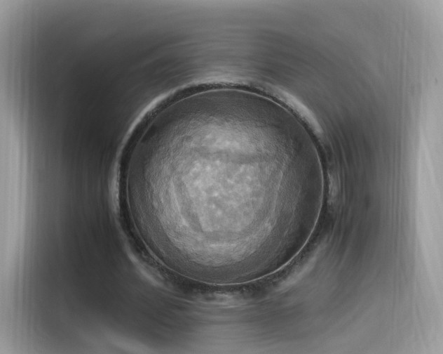 X0000115560580200911131629