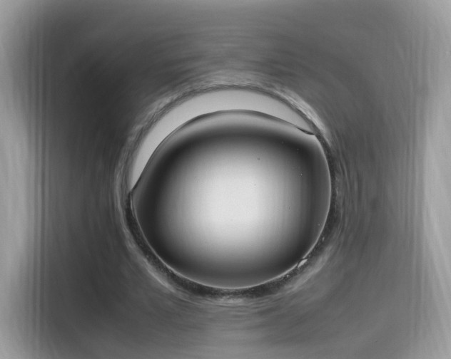 X0000115560581200911131629