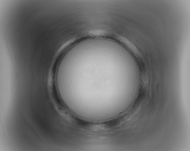 X0000115560583200911131629