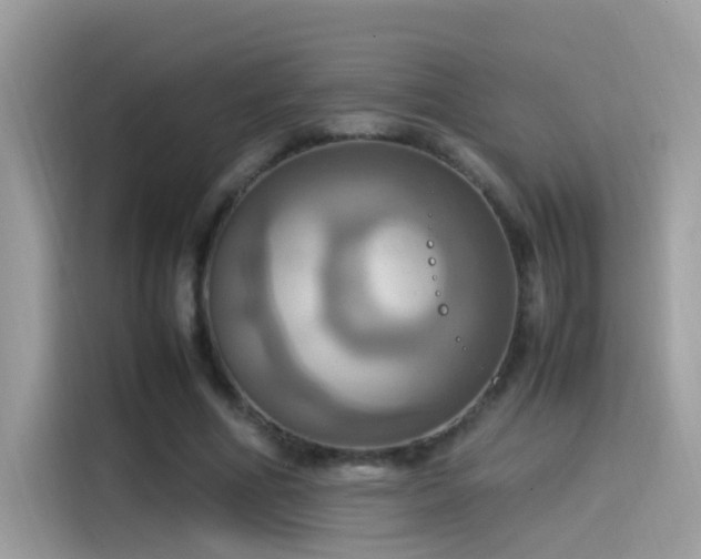 X0000115560586200911131629