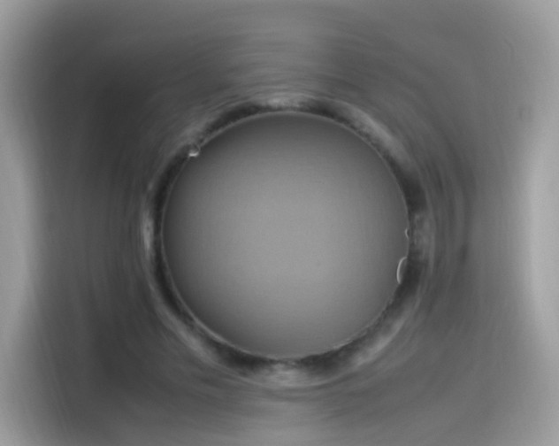 X0000115560589200911131628