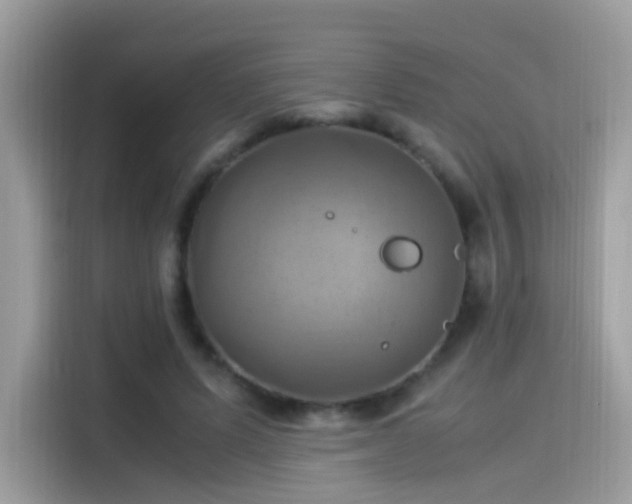 X0000115560591200911131628