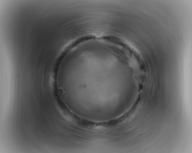 X0000115560592200911131628