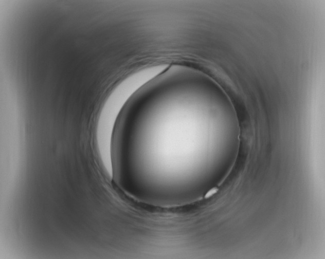 X0000115560593200911131628