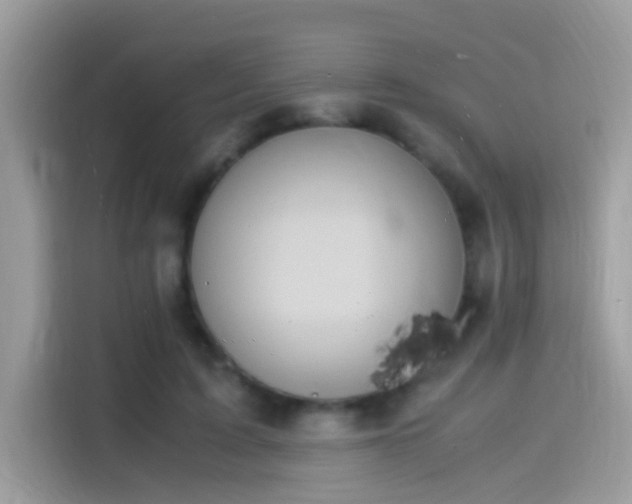 X0000115560595200911131628
