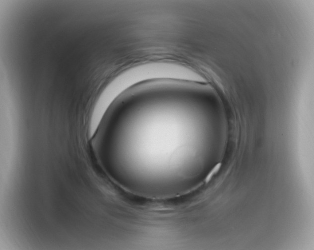 X0000115560597200911131628