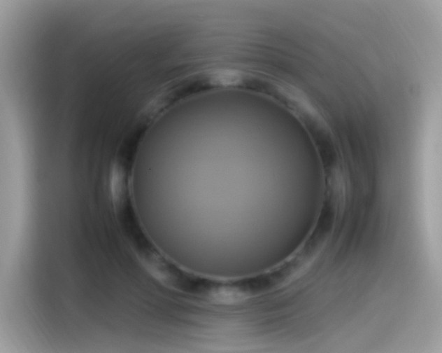 X0000115560598200911131628