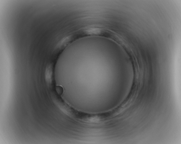 X0000115560600200911131628