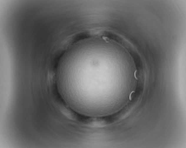 X0000115560601200911131628