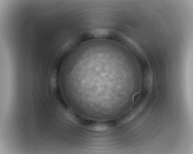 X0000115560604200911131628