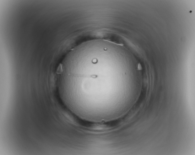 X0000115560605200911131628