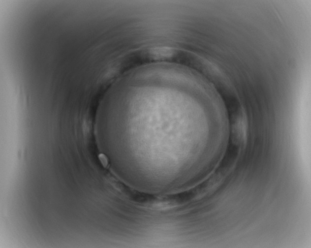 X0000115560608200911131628