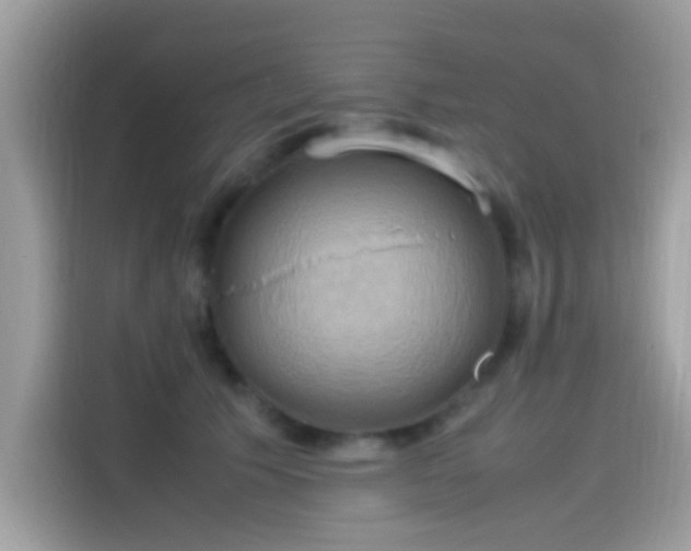 X0000115560609200911131628