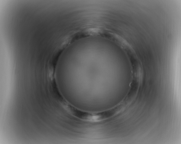 X0000115560610200911131628