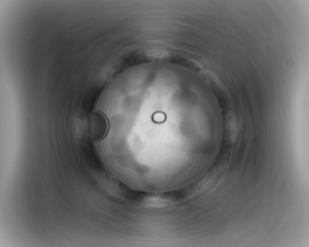 X0000115560614200911131628