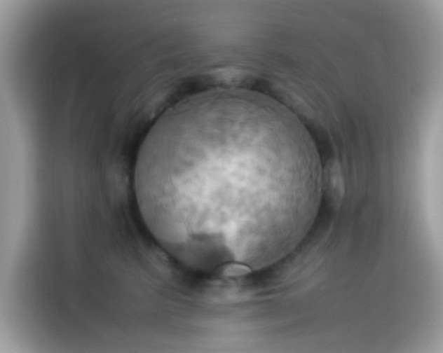 X0000115560615200911131628