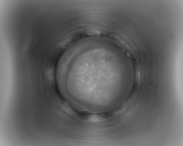 X0000115560616200911131628