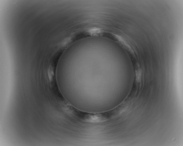X0000115560618200911131628