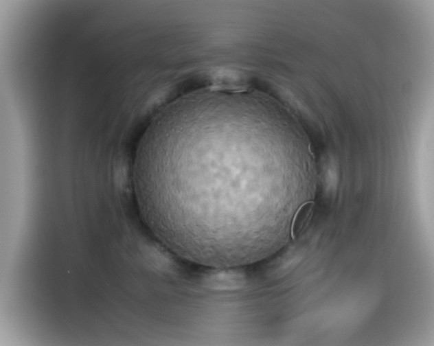 X0000115560619200911131628