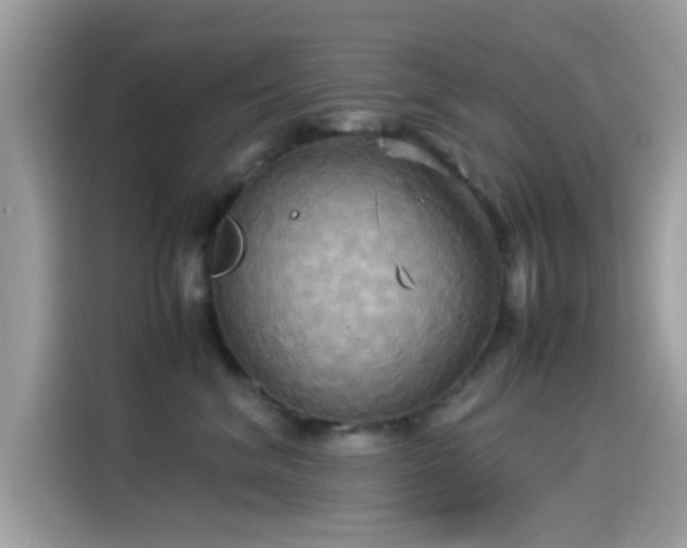X0000115560620200911131628