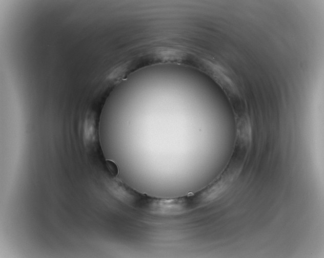 X0000115560622200911131628