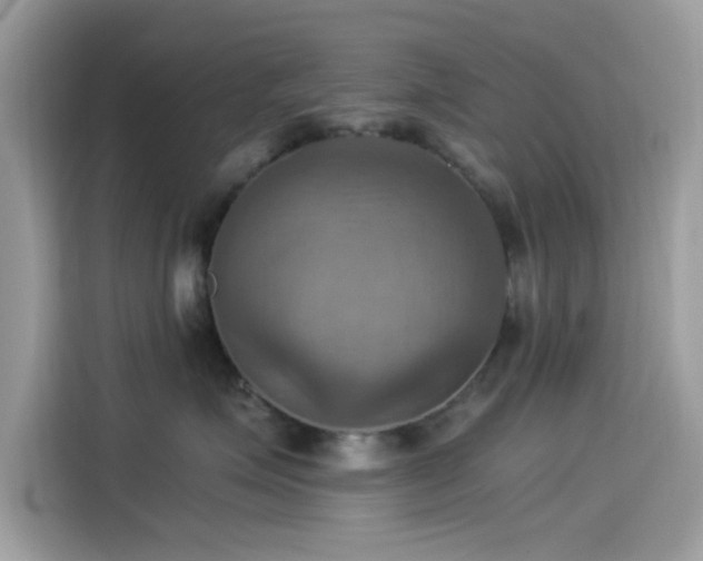 X0000115560623200911131628