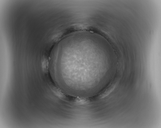 X0000115560624200911131628