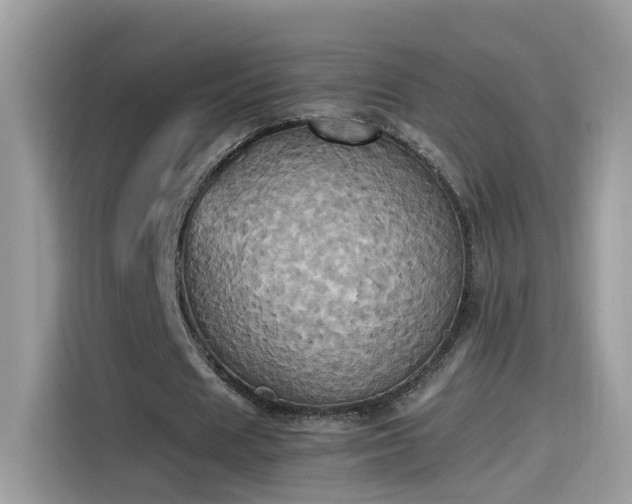 X0000115560625200911131627
