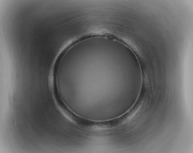 X0000115560630200911131627