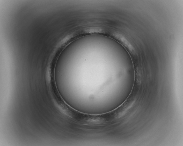 X0000115560631200911131627