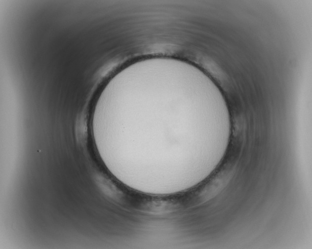 X0000115560632200911131627