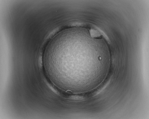 X0000115560633200911131627