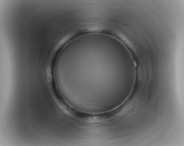 X0000115560634200911131627