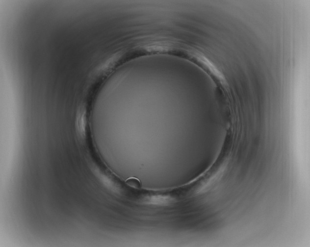 X0000115560637200911131628