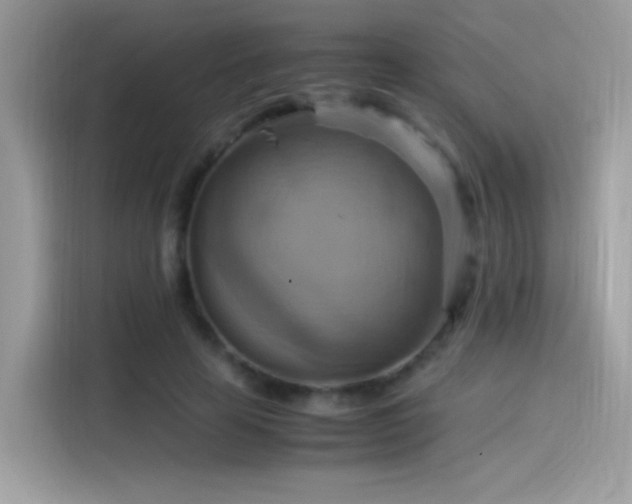 X0000115560641200911131628