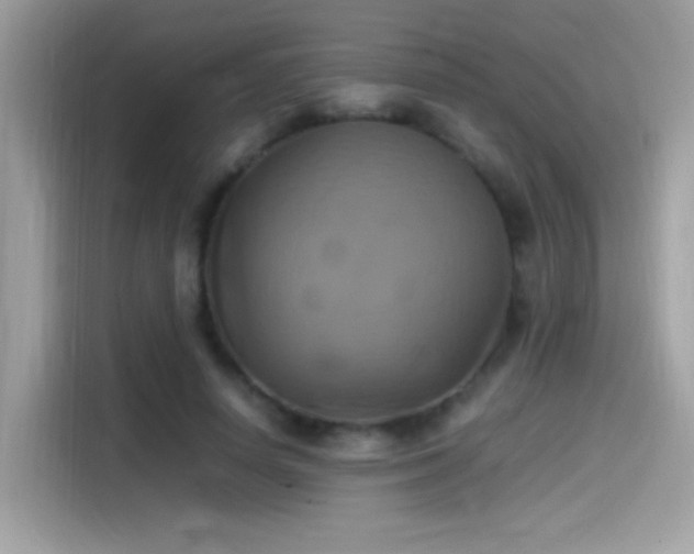 X0000115560642200911131628