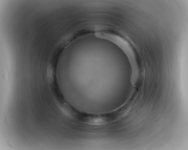 X0000115560643200911131628