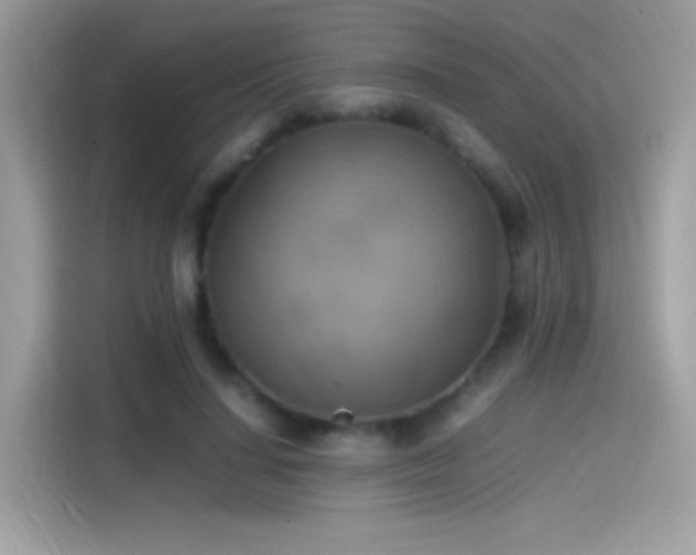 X0000115560644200911131628