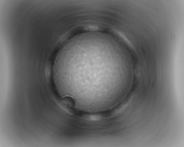 X0000115560645200911131628