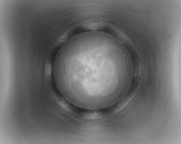 X0000115560646200911131628
