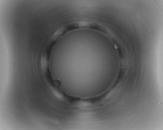 X0000115560648200911131628