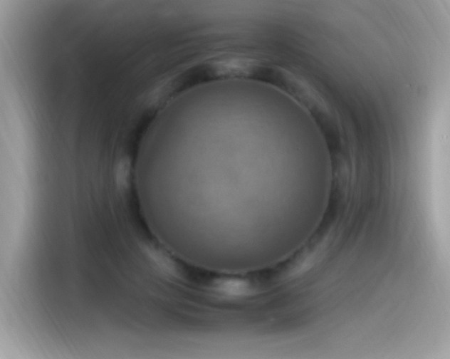 X0000115560649200911131628