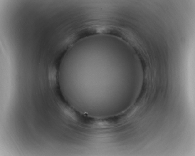 X0000115560650200911131628
