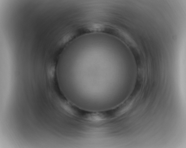 X0000115560652200911131628