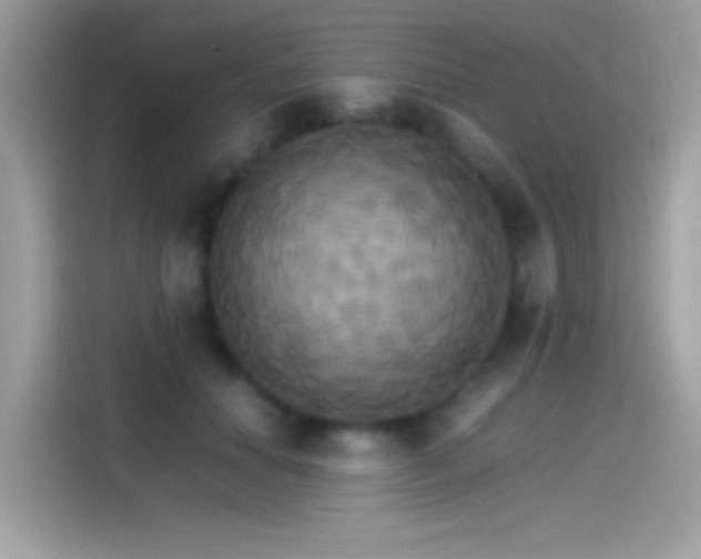 X0000115560654200911131628