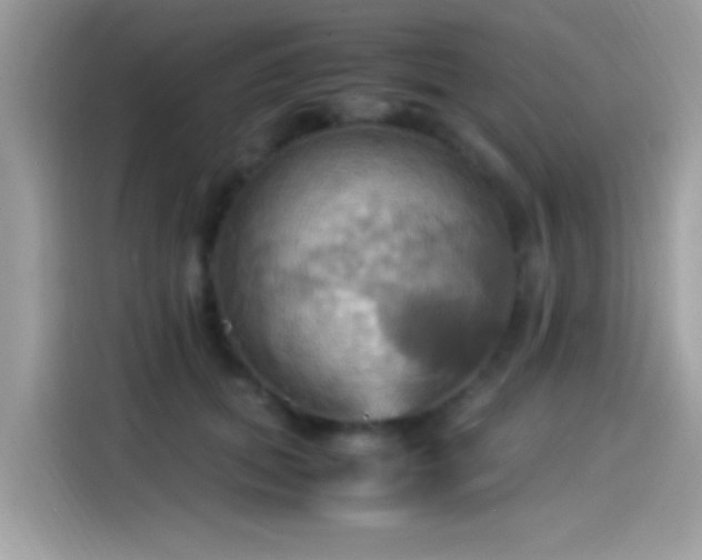 X0000115560655200911131628