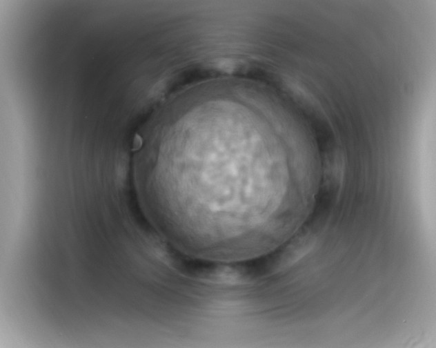 X0000115560656200911131628