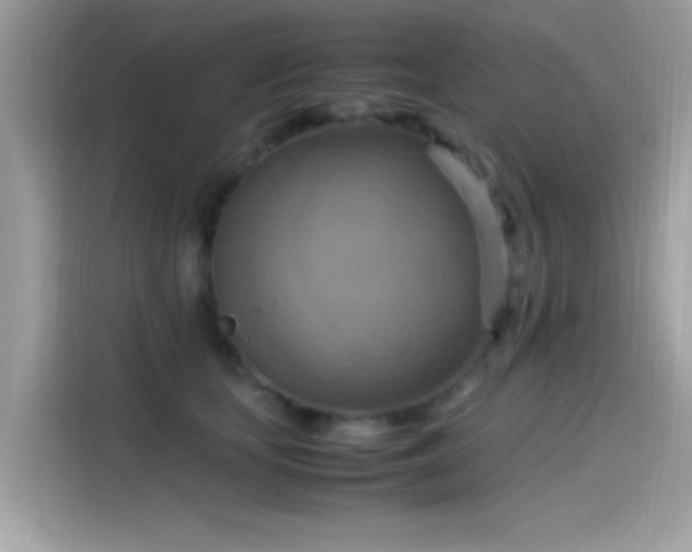 X0000115560659200911131628