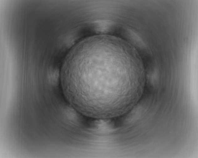 X0000115560660200911131628